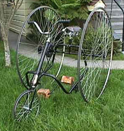 Adult Trike