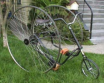 Adult Trike