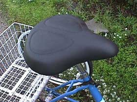 Adult Lite Trike Seat